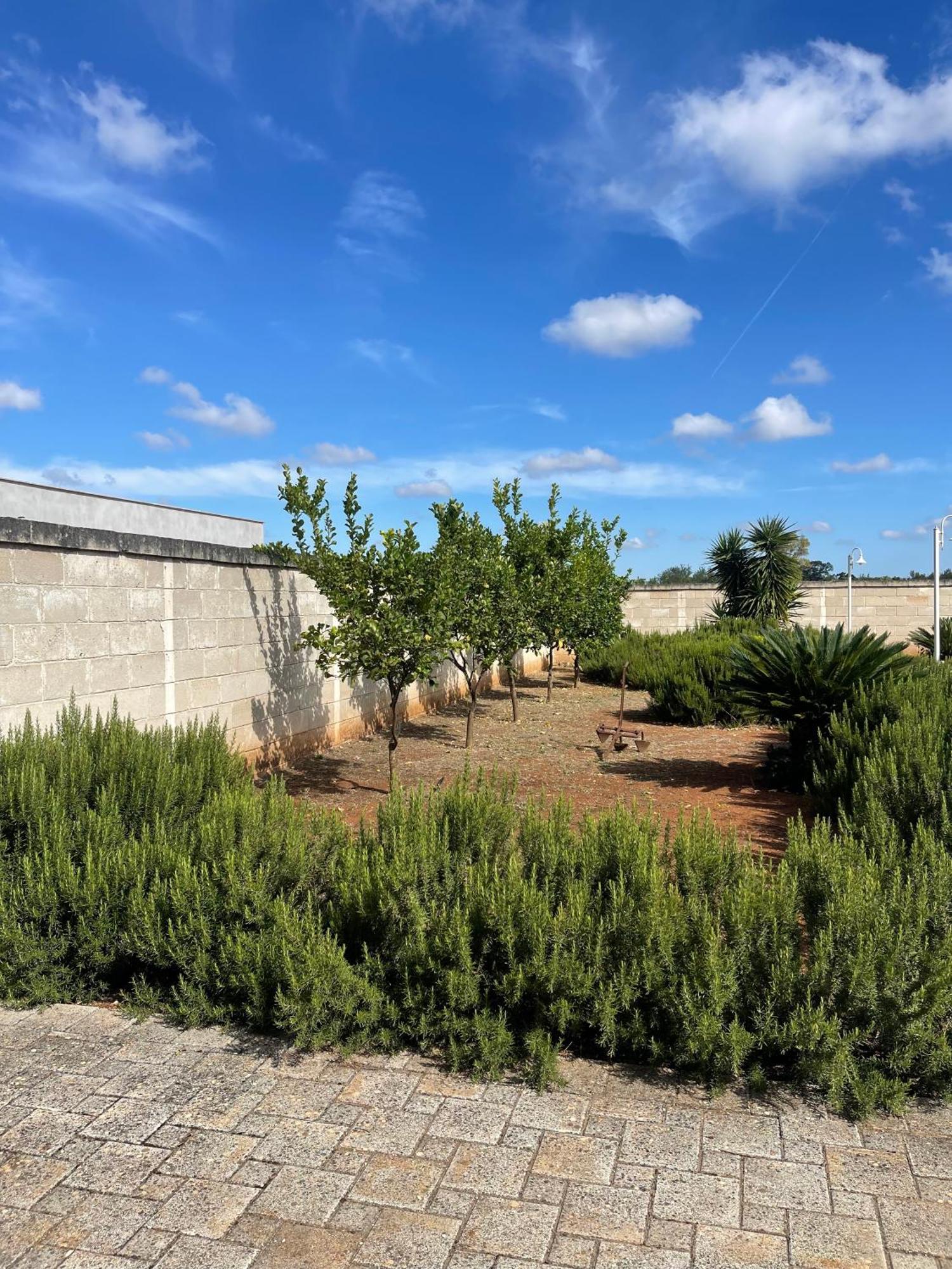 Masseria Don Bonifacio Castellana Grotte Eksteriør bilde